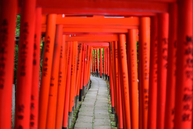 Professionally Guided Tokyo Private Walking Tour - Inclusions and Services Provided