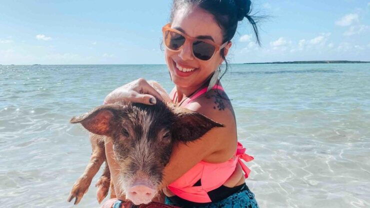 Progreso Isla Columpio and Pig Beach Club Day Pass - Activity Details