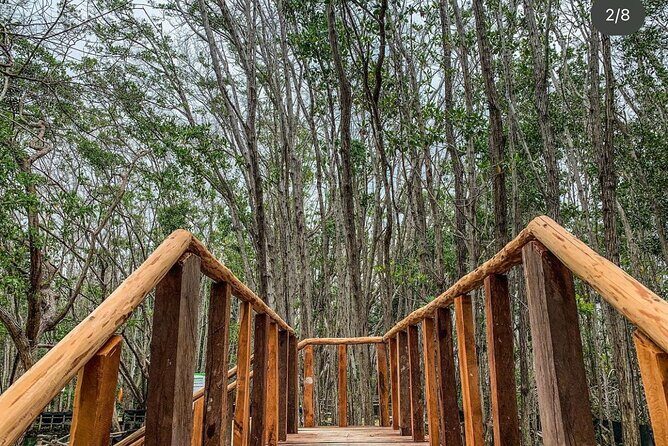 Progreso, Isla Columpios and El Corchito from Merida - Final Thoughts