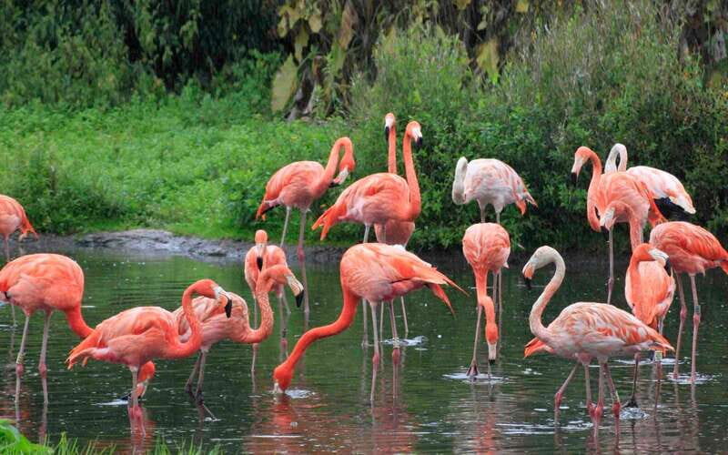 Progreso: Sightseeing Trip with Mayan Ruins & Beach Break - Who Would Love This Experience?