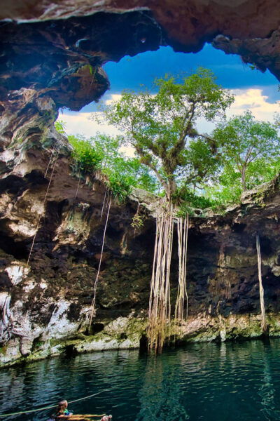 Progress: Excursion to the Santa Barbara Homun Cenotes - Booking and Cancellation