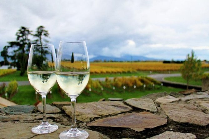 Progressive Wine and Gourmet Trail of Marlborough - Locally-Sourced Produce