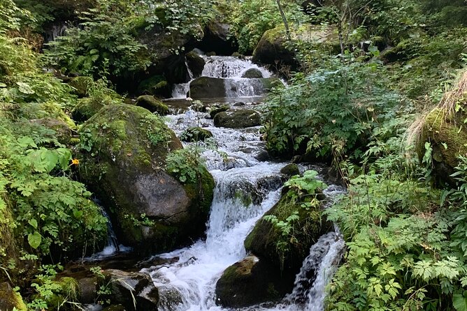 ProkošKo Lake: a Day Tour to the Forgotten Village From Sarajevo - Frequently Asked Questions