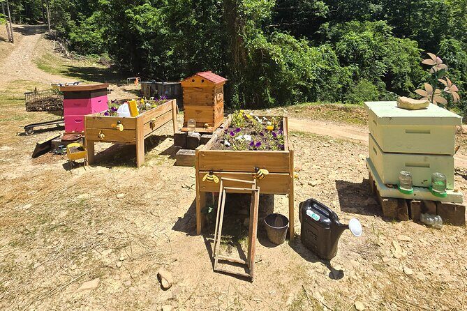 Promise Land Bee Farm Private Tour in Charleston - Good To Know