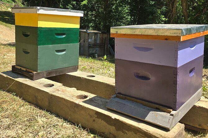 Promise Land Bee Farm Private Tour in Charleston - Final Thoughts