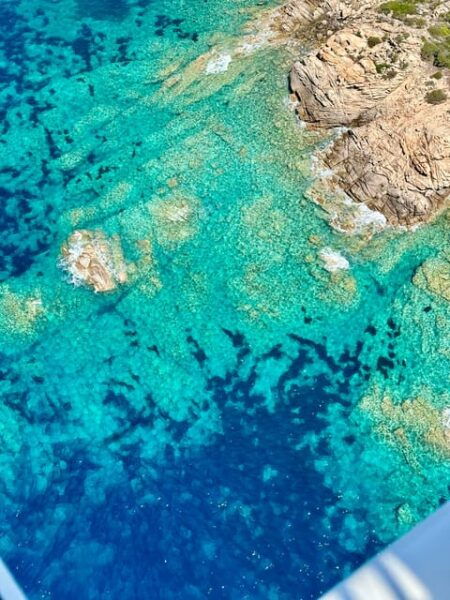 PROPRIANO: PLANE RIDE OVER THE CORSICAN LANDSCAPES - Questions You May Have
