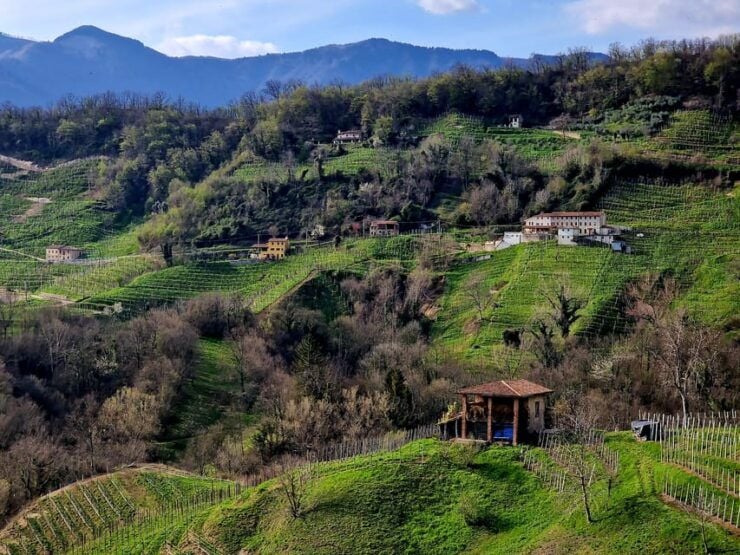 Prosecco Hills Bike Tour From Venice - Good To Know