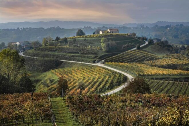 Prosecco Hills Bike Tour From Venice - Inclusions of the Tour