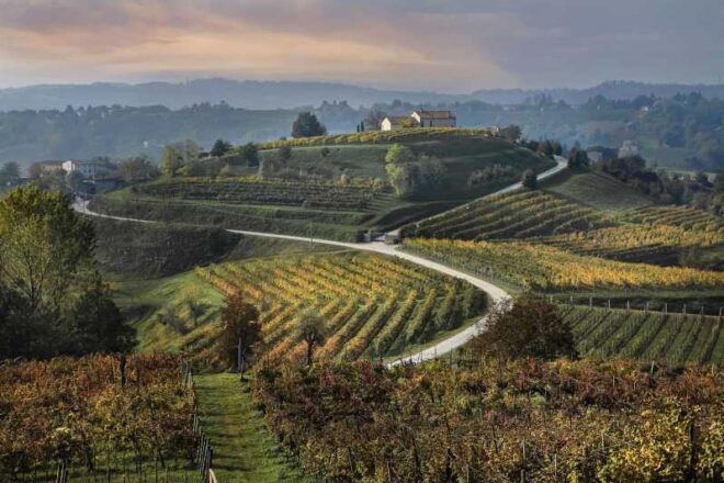 Prosecco Hills Bike Tour From Venice - What to Bring