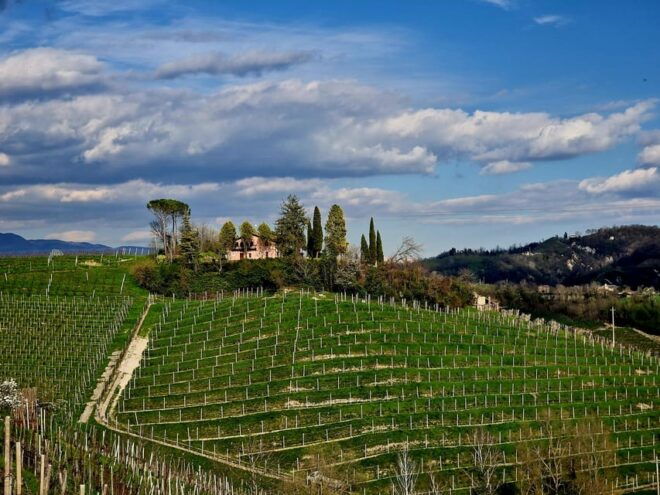 Prosecco Hills Bike Tour From Venice - Booking and Cancellation Policy
