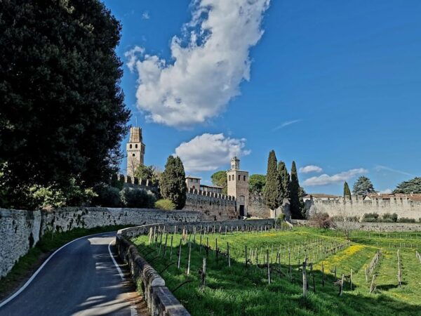 Prosecco Hills Bike Tour From Venice - Tips for a Great Experience