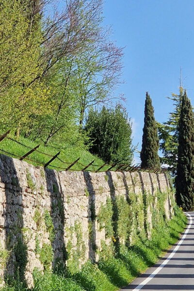 Prosecco Hills Bike Tour From Venice - Nearby Attractions