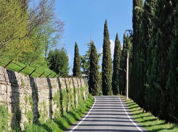 Prosecco Hills Bike Tour From Venice - Frequently Asked Questions