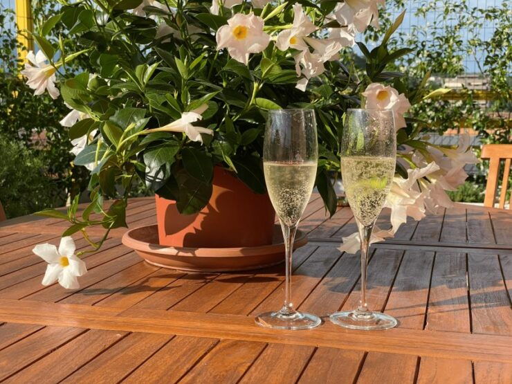 Prosecco Hills Private Tour All Inclusive. 2 Wineries+Lunch - Good To Know