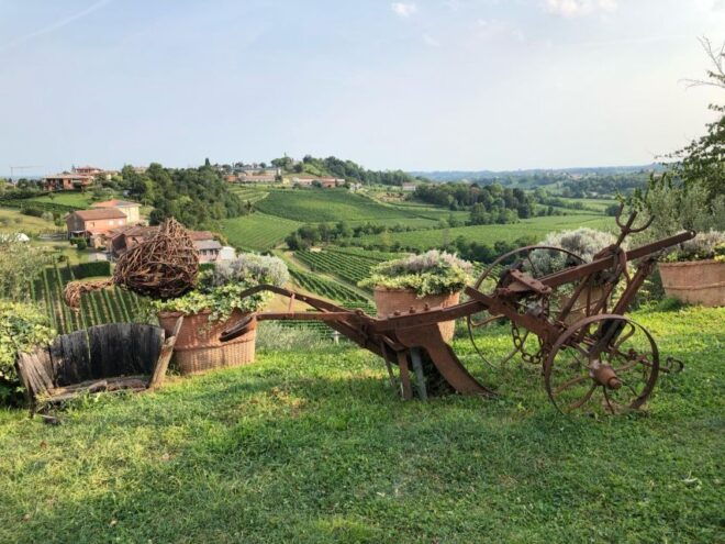 Prosecco Hills Wine and Cheese Tasting Tour - Booking Information
