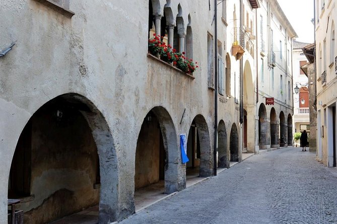 Prosecco Region Cellar Visit, Wine Tasting, Palladian Villa, Medieval Village - Villa and Village Exploration