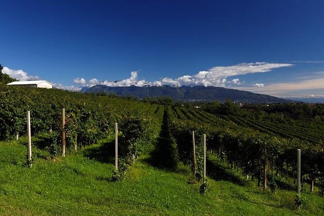 Prosecco Region Private Full-Day Winery Tour From Treviso - Local Nibbles and Authentic Cuisine