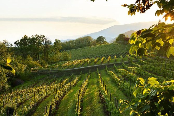 Prosecco Road" Tour With Winery Visits, Tastings, and Lunch  - Treviso - Lunch Details