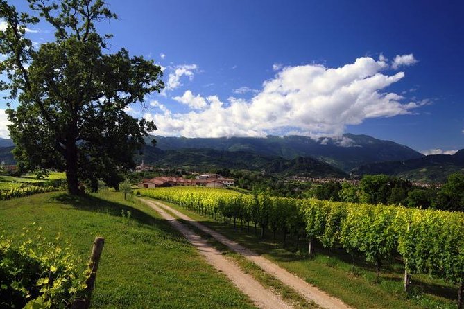 Prosecco Road" Tour With Winery Visits, Tastings, and Lunch  - Treviso - Scenic Countryside