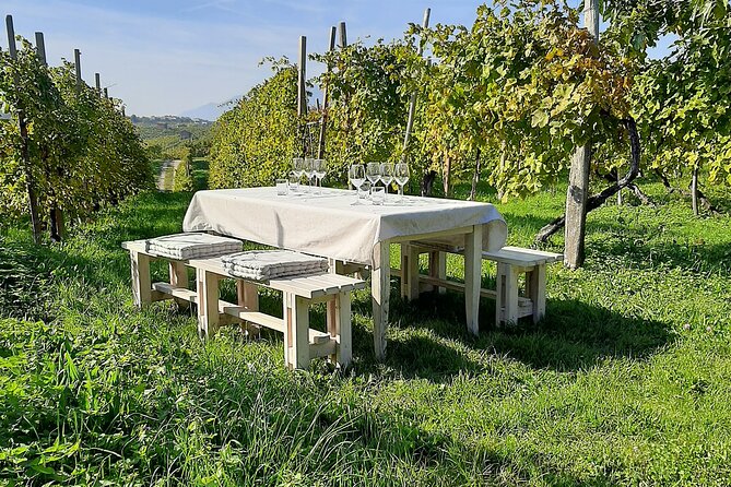 Prosecco Road" Tour With Winery Visits, Tastings, and Lunch  - Treviso - Traveler Reviews