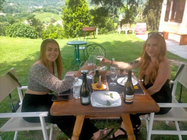 Prosecco Wine Tasting Tour. Half Day. From Venice - Tour Overview