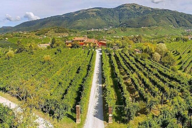 Prosecco Wine Tasting Tour. Half Day. From Venice - Inclusions and Amenities