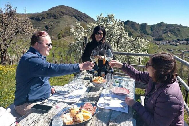 Prosecco Wine Tasting Tour. Half Day. From Venice - Important Guidelines