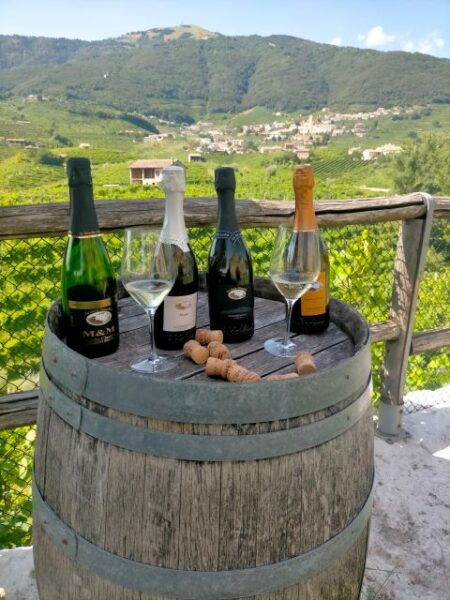 Prosecco Wine Tasting Tour. Half Day. From Venice - Frequently Asked Questions