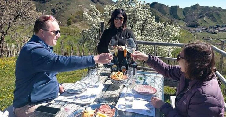 Prosecco Wine Tour. Full Day - 2 Wineries. From Venice - Tour Highlights