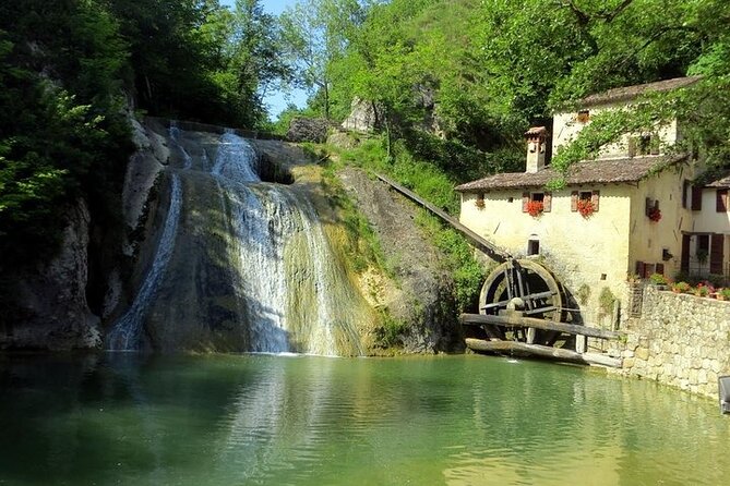 Prosecco Wine Tour. Half-Day - Winery Visit and Tour