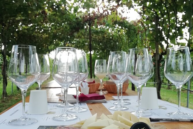 Prosecco - Wine Tour & Tasting - Full Day in the Prosecco Region - Traveler Reviews and Recommendations