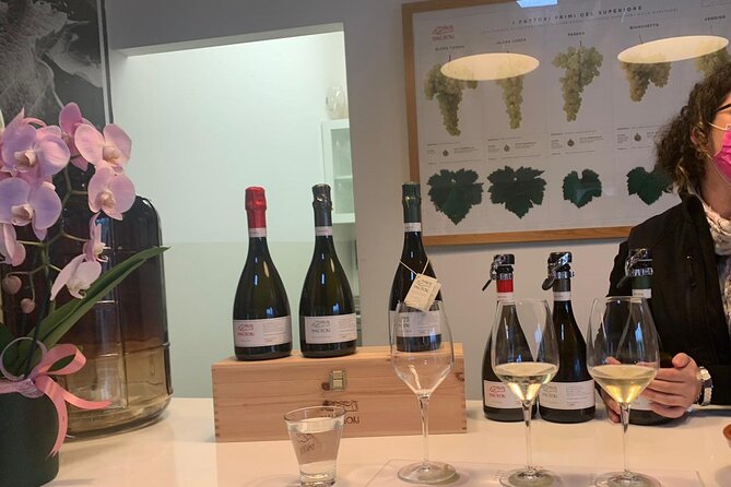 Prosecco - Wine Tour & Tasting - Full Day in the Prosecco Region - The Sum Up