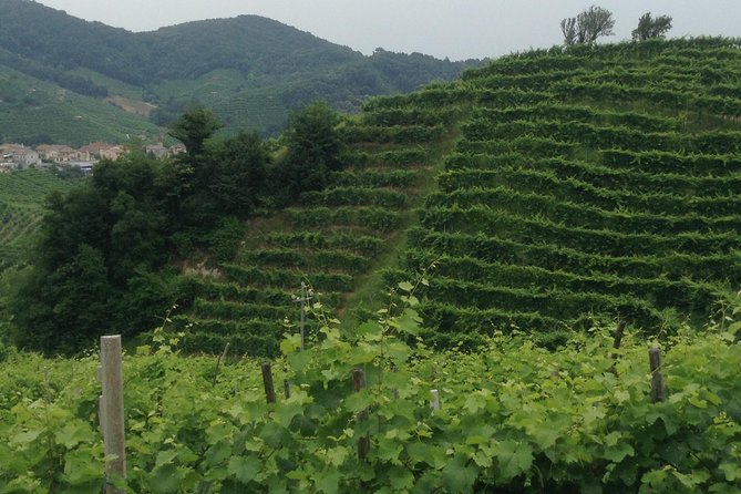 Prosecco Wine Tour With Tiramisu From Venice - Location Details