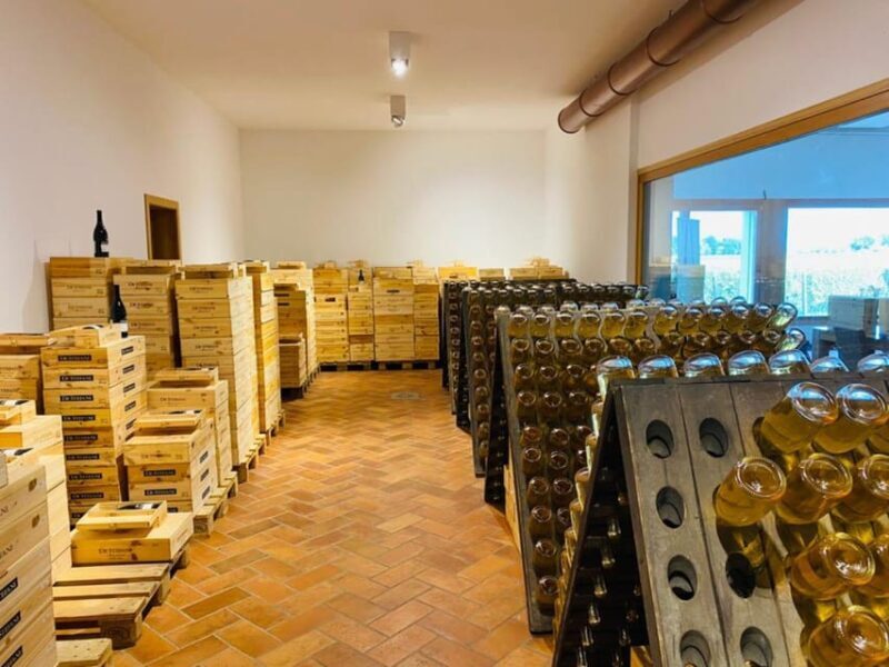 Prosecco Winery Tasting with Food Pairing near Venice - A Deep Dive into the Itinerary