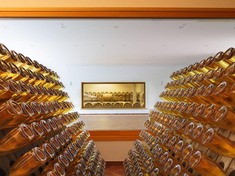 Prosecco Winery Tasting with Food Pairing near Venice - Final Thoughts