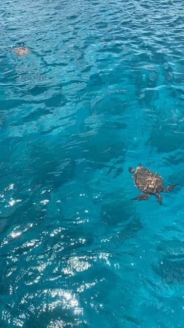 Protaras: Adults Only Luxury Yacht with BBQ and 1 Drink - Frequently Asked Questions