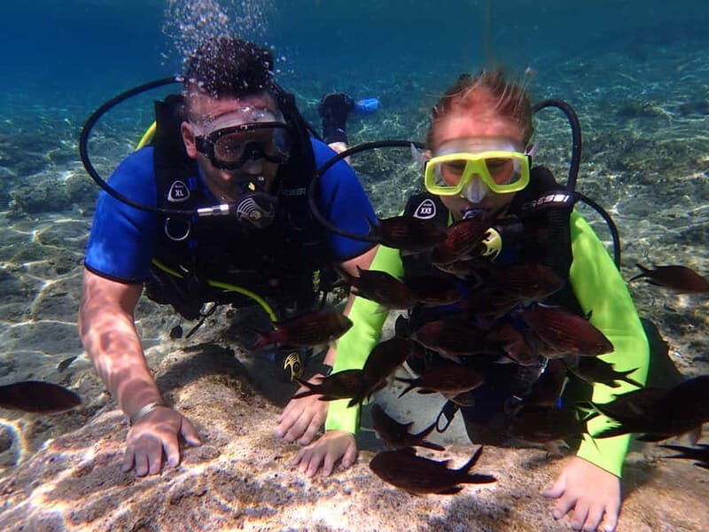 Protaras: Bubblemaker Diving Course & 2-Meter Dive - Good To Know