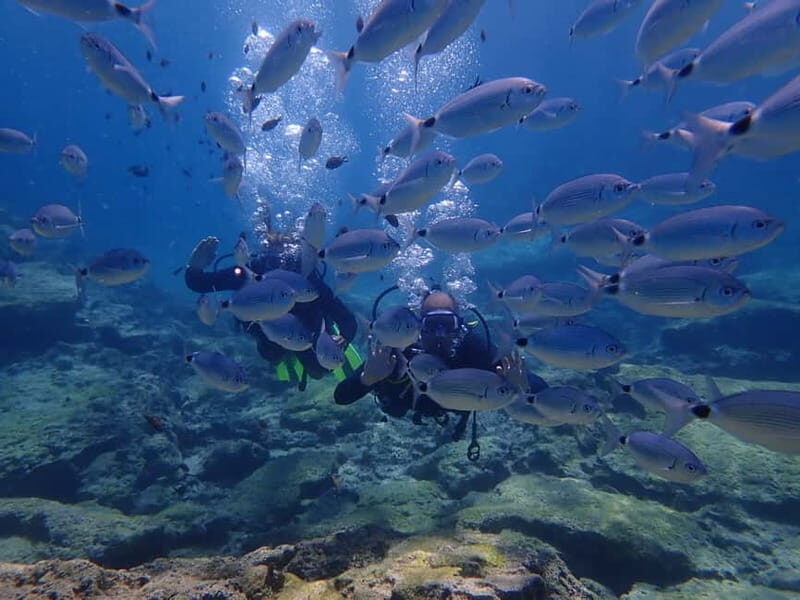 Protaras: Cape Grecko Single Dive for Qualified Divers - Good To Know