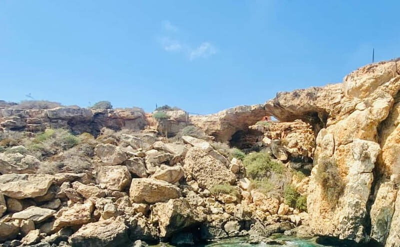 Protaras: Harmony | Luxury boat, Value Turtle Adventure - Who Should Consider This Tour?