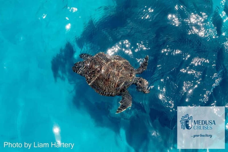 Protaras: Medusa Chill-Out Cruise to Blue Lagoon & Sea Caves - Good To Know