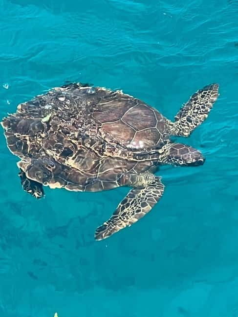 Protaras: Waterworld Turtle Cove Cruise with Swim Stops - An In-Depth Look at the Waterworld Turtle Cove Cruise