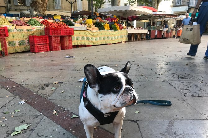 Provençal Farmers Market Tour - Directions