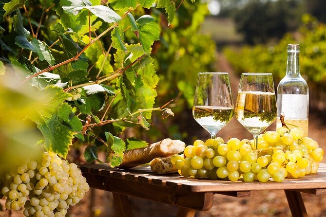 Provencal Market and Wine Tasting Sightseeing Tour - Good To Know