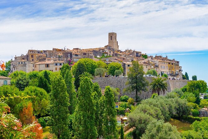Provencal Market, Wine Tasting & Countryside Private Tour - Market Explorations