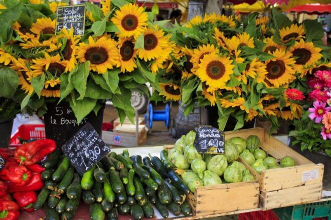 Provencal Market & Wine Tasting Full Day Tour - Vineyard Visit & Wine Tasting