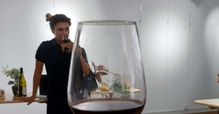 PROVENÇAL WINE TOUR - Key Points