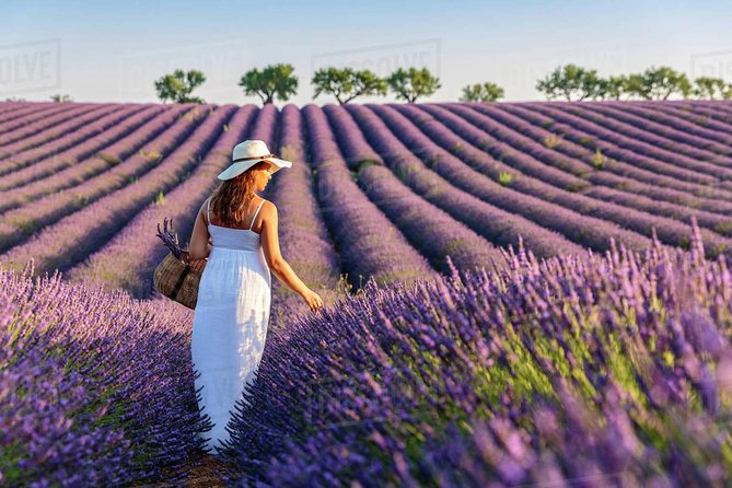 Provence and Lavender - Private & Guided Full Day Tour - Inclusions