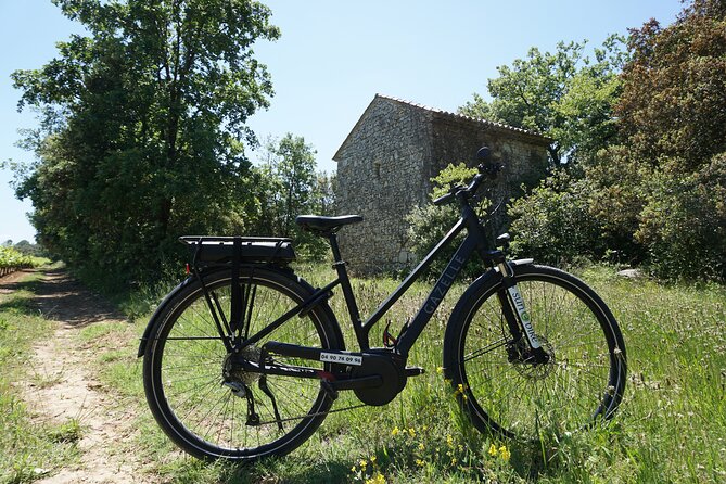 Provence and the Carrieres De Lumieres by E-Bike From Saint-Rémy-De-Provence - Following the Route to Les Baux De Provence