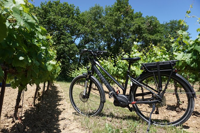 Provence and Wine Tasting by E-Bike From Saint-Rémy-De-Provence - Questions and Support