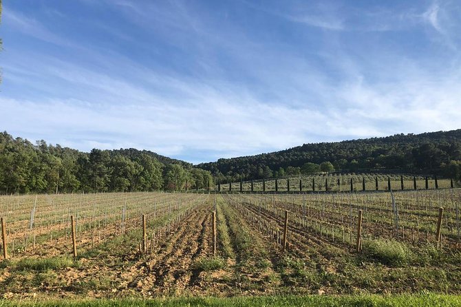 Provence at Your Own Pace and at Your Leisure! - Directions